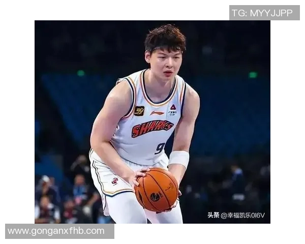 中锋对决王哲林强势表现周琦在洛夫顿面前显得无奈